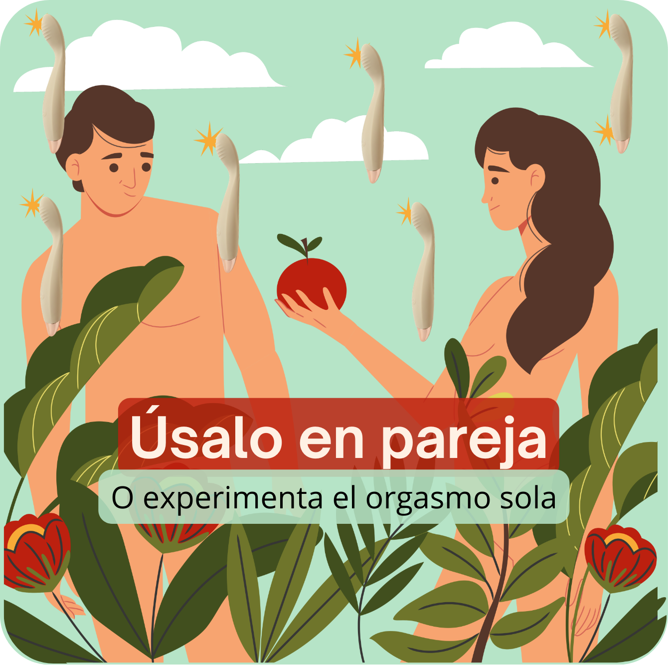 Pasión: para principiantes